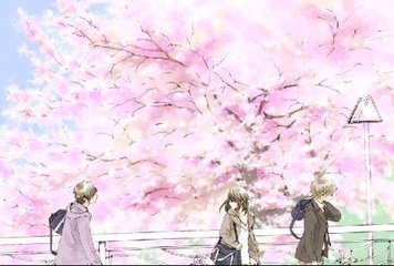 雏鸟网站
